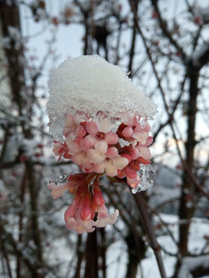 Gite Du Charri 勒索里 外观 照片